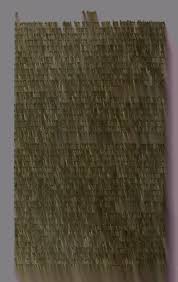 Image result for Nesaea passerinoides