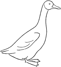Drawing A Goose How To Draw Geese Step By Step Tutorial How To Draw Step By Step Drawing Tutorials Goose Drawing Drawings How To Draw Steps