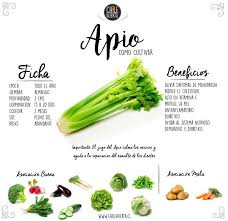 Sembrar En Junio Huerta Apio Cosecha
