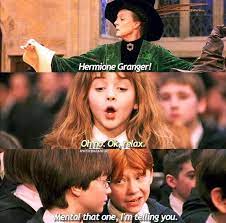 Hermione Granger And The Sorting Hat Harry Potter Jokes Harry Potter World Harry Potter Fantastic Beasts