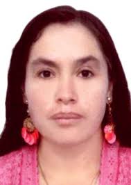 Ingresos de Otorongos Elecciones 2022