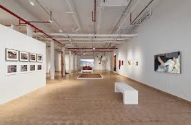 Hot Coffee with curator Anna Burckhardt Pérez,The Neville Bryan Assistant  Curator at the Art Institute of Chicago — Hot Coffee Conversations