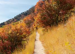 Little jerusalem badlands state park is located in logan county in western kansas, an equal distance from the cities of oakley to the north and scott city to the south. Guide To Visiting Wind Caves In Logan Utah