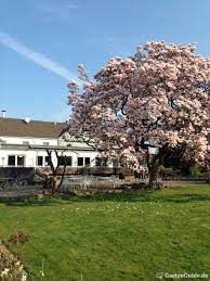 573 likes · 48 talking about this · 604 were here. Haus Klippenberg Restaurant In 42799 Leichlingen