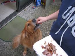 Tessa getting some tasty snacks 3 | Graham Fair | Flickr