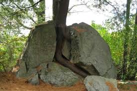 I would tend to agree, because that is what god's grace does on this earth. Changing Landforms Lessons Blendspace