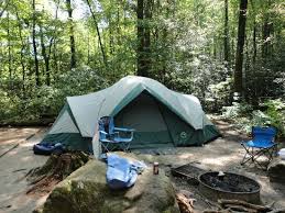 We did not find results for: Campsite 9 Picture Of Jones Gap State Park Marietta Tripadvisor