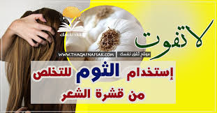 علاج قشرة الشعر بالثوم ٥ طرق ستزيل القشرة نهائي ثقف نفسك