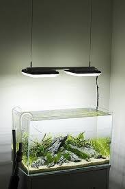 Planted Aquarium Full Lighting Guide Aquarium Lighting Planted Aquarium Aquarium