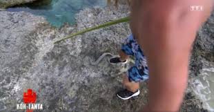 Khlong khong beach 3.39 km. Poissons Maltraites Dans Koh Lanta Tf1 Rappele A L Ordre Par Peta