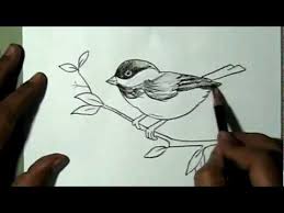 Birds Eye View Drawing Car Pin On Art