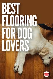 What Is The Best Flooring For Dogs Best Flooring Training Your Dog Dogs