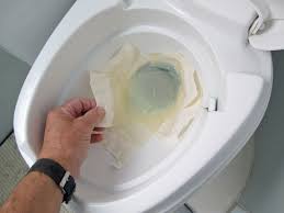 Step 1 clean the toilet with a commercially available toilet bowl cleanser and flush the water. How To Use And Fix Caravan Toilets Practical Caravan