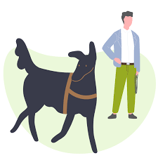 1.muss man sofort wenn man den hund angemeldet hat die hundesteuer zahlen oder gibt es da bestimmte monate bzw einen bestimmten monat? Hundehaftpflicht In Bayern Alle Regelungen 2018 2019 Nachlesen