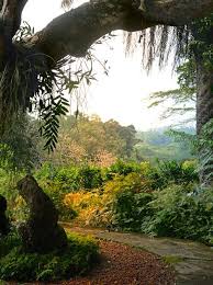 Brief Gardens Bentota Sri Lanka Sri Lanka Holidays Sri Lanka Adventure Is Out There
