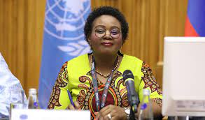 O ve ailesi bir kulübe. Prisma Reports South Africa Interview With Ms Mmamoloko Kubayi Ngubane Minister Of Tourism