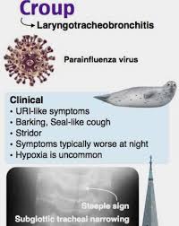 Image result for Croup