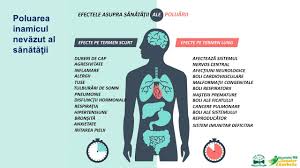 We did not find results for: Reduce Reuse Recycle By Ted Adventure Photos Facebook