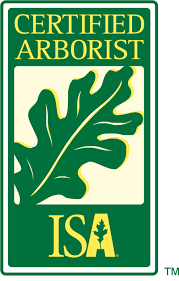 Certified arborists often have a competitive advantage in the job market because employers and organizations associate this certification with experience and expertise. International Society Of Arboriculture Credentials Types Of Credentials Isa Certified Arborist