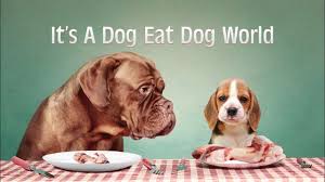 Saved from a Dog-Eat-Dog World - by John Carpenter