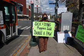 Deb and her husband sean and the entire team at paws pet resort offer doggy daycare, boarding, and grooming. Dozens Protest Outside Shake A Paw In Lynbrook Herald Community Newspapers Www Liherald Com
