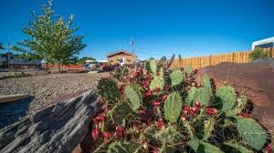 The price is $359 per night from mar 7 to mar 8$359. The 10 Best Tiny Houses In The United States Booking Com