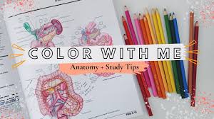 Felten and mary summo maida, challenges you to a better understanding of the brain, spinal cord, and peripheral nervous system using visual and tactile learning. Color With Me Netter S Anatomy Coloring Book My Undergrad Study Tips Aesthetic Pre Pa Pre Med Youtube