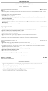 An insurance underwriter decides on which insurance applications should be accepted and which should be turned down. Insurance Underwriter Resume Sample Mintresume