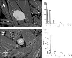 I recently took a bit of sand from the beach with me to view under my microscope. Microscopic Observations Of Paper And Parchment The Archaeology Of Small Objects Heritage Science Full Text