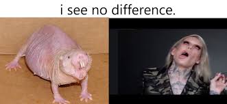 Jeffree Star X Mole Rat Pallete Teenagers