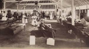 In Bombay's 1896 plague disaster ...