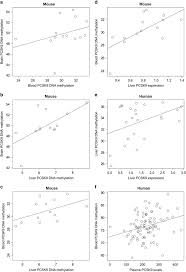 Geser bocah ke luar lemari. Level 168 Brain Test