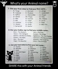 Friday Fun What S Your Animal Name Funny Names Names Name Generator