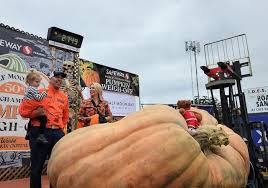 Image result for giant pumpkin