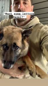 Hazel (And Hawksley)