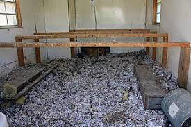 One bedroom apartment in fairfax. Look You Can Own A Mobile Chicken Coop