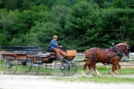 The Top 10 Things To Do Near Schoodic Woods Campground Acadia National Park National Parks Acadia National Park Maine