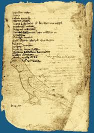 Larla aynı cinsten olduklan belirtilen kumanlar anlaşıldığına göre buralarda, daha ziyade dış görünüşleri ile tanıtılmak istenmiştir. Kumanlar Vikipedi