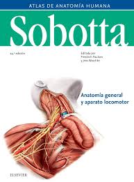 Libro de atlas de sexto grado digital 2020 es uno de los libros de ccc revisados aquí. Sobotta Atlas De Anatomia Humana Vol 1 24Âª Ed Anatomia General Y Aparato Locomotor Spanish Edition Paulsen Friedrich Gotzens De Jose Maria Bruno Gotzens Garcia Victor Gotzens Garcia Victor 9788491133667 Amazon Com Books