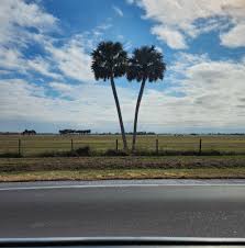 Profile for Angela Larry Pease