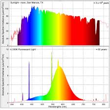 Study Links Fluorescent Lighting To Inflammation And Immune