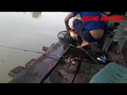 Mancing Mania Di Kolam Pancing Udana Delitua Pamah City Youtube