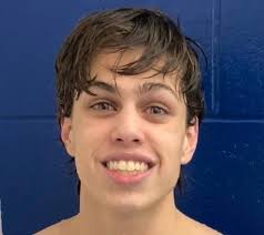 Greater Lansing high school boys swim and dive Dream Team, all-area