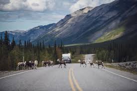We did not find results for: How To Drive To Alaska Everything You Need To Know Ordinary Adventures
