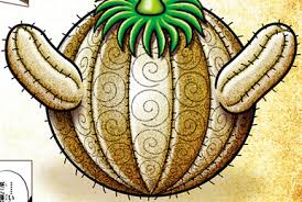 Image result for Diospyros chamaethamnus