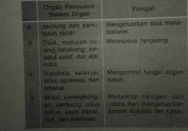 Bekerja atas dasar kesadaran dan kemauan kita sendiri. Pasangan Antara Organ Penyusun Sistem Organ Dalam Tubuh Beserta Fungsinya Dalam Tabel Berikut Yanh Brainly Co Id