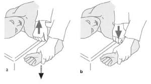 Image result for Fulcrum Test