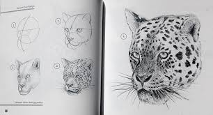 Gambar binatang yang keren dengan pensil dan marker. 61 Gambar Harimau Pensil Paling Keren Gambar Pixabay