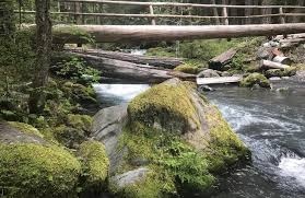 Upper Dungeness Trail to Handy Camp, Washington