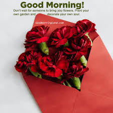 New good morning images flowers hd. Latest 2020 Good Morning Flowers With Images Good Morning Images Quotes Wishes Messages Greetings Ecards